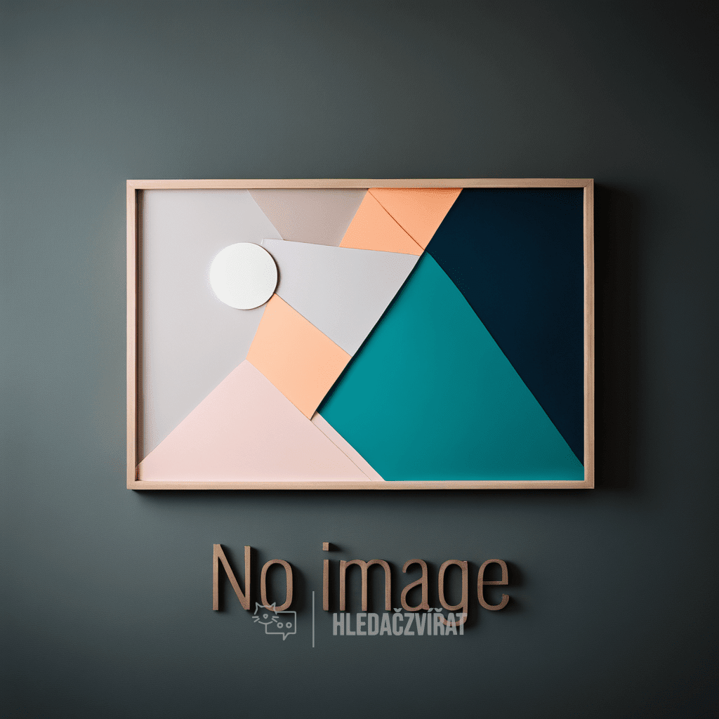 Velký modrý gaskoňský honič, Grand Bleu de Gascogne,  Large Blue Gascony Hound, Großer Blauer Gascogner